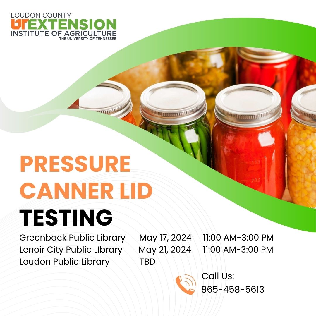 Home Town of Greenback